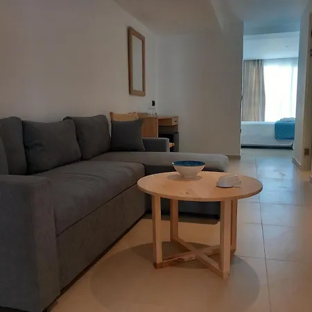 酒店 The Blue Of Mykonos 普拉迪斯亚罗斯